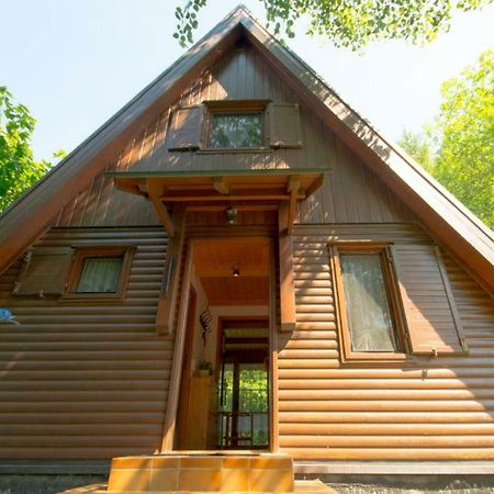 Ferienhaus Ederer Waldmünchen Dış mekan fotoğraf