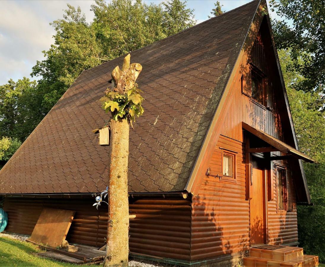 Ferienhaus Ederer Waldmünchen Dış mekan fotoğraf