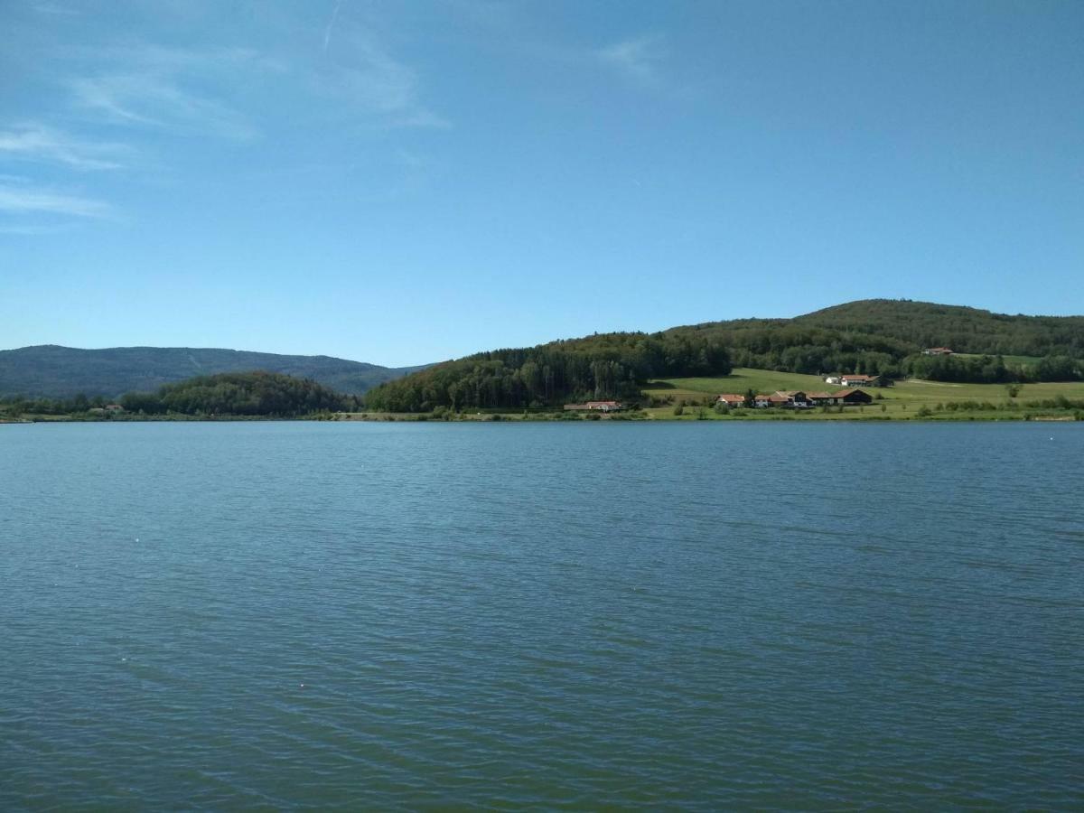 Ferienhaus Ederer Waldmünchen Dış mekan fotoğraf