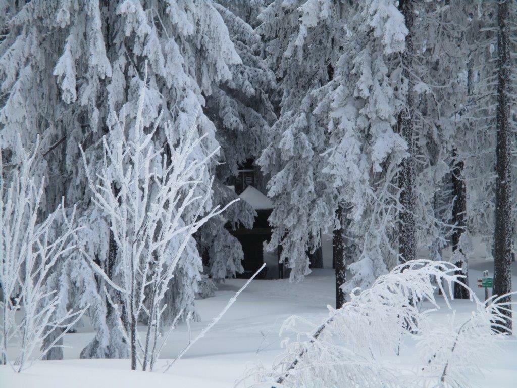 Ferienhaus Ederer Waldmünchen Dış mekan fotoğraf